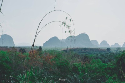 เ ข า "ที่ฉันหลงรัก" พังงา