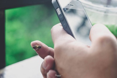 เ ข า "ที่ฉันหลงรัก" พังงา