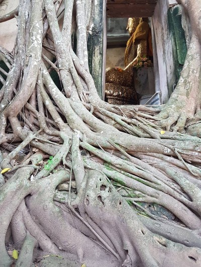 ตลาดน้ำดำเนินสะดวก แม่กลอง อัมพวา