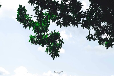 เ ข า "ที่ฉันหลงรัก" พังงา