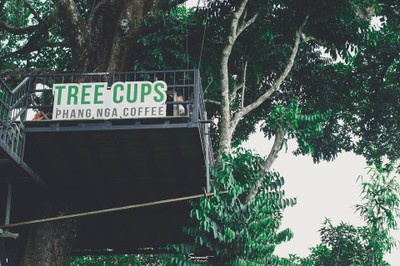 เ ข า "ที่ฉันหลงรัก" พังงา