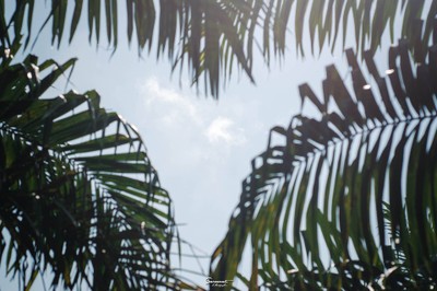 เ ข า "ที่ฉันหลงรัก" พังงา