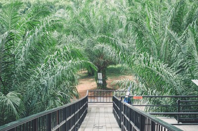 เ ข า "ที่ฉันหลงรัก" พังงา