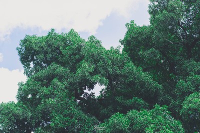 เ ข า "ที่ฉันหลงรัก" พังงา