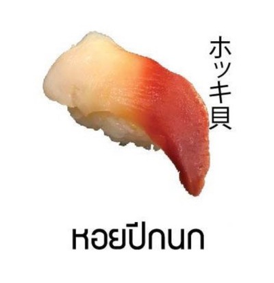 ซูชิหอยปีกนก