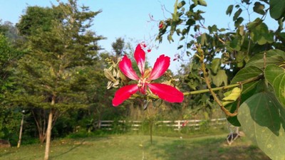 2 วัน 1 คืน พาครอบครัวเที่ยวโคราช ในวันที่อากาศดี๊ดี