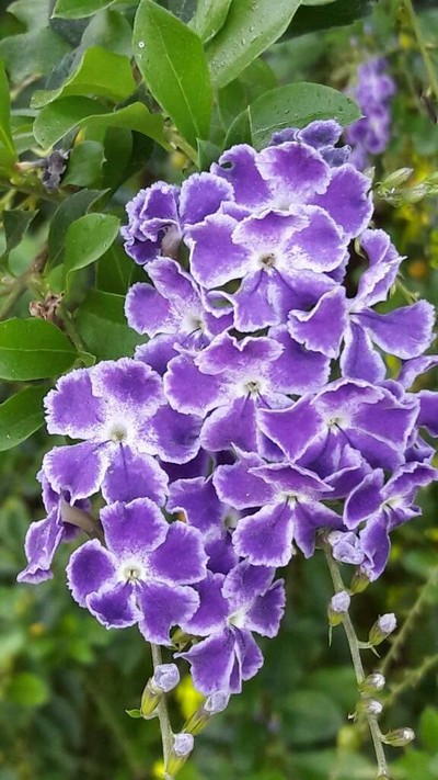 2 วัน 1 คืน พาครอบครัวเที่ยวโคราช ในวันที่อากาศดี๊ดี