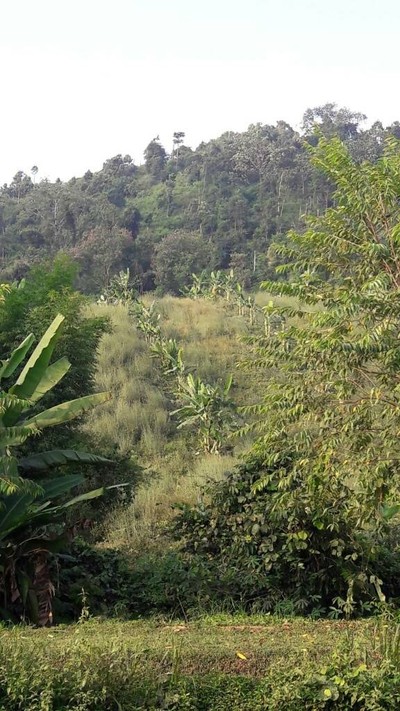 2 วัน 1 คืน พาครอบครัวเที่ยวโคราช ในวันที่อากาศดี๊ดี