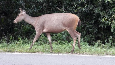 2 วัน 1 คืน พาครอบครัวเที่ยวโคราช ในวันที่อากาศดี๊ดี