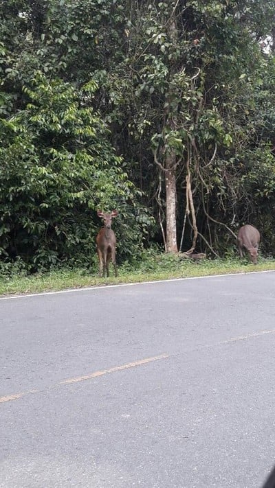 2 วัน 1 คืน พาครอบครัวเที่ยวโคราช ในวันที่อากาศดี๊ดี