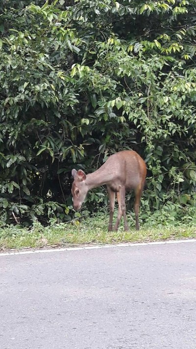 2 วัน 1 คืน พาครอบครัวเที่ยวโคราช ในวันที่อากาศดี๊ดี