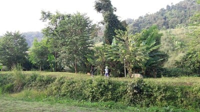 2 วัน 1 คืน พาครอบครัวเที่ยวโคราช ในวันที่อากาศดี๊ดี