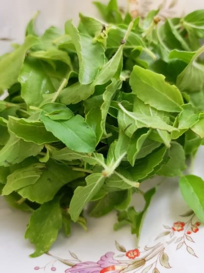 วิธีทำ กะเพราลูกชิ้นปลา วิธีทำ กะเพราลูกชิ้นปลา