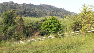 2 วัน 1 คืน พาครอบครัวเที่ยวโคราช ในวันที่อากาศดี๊ดี