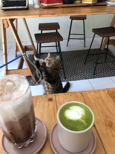 อาหาร หรือ เครื่องดื่ม