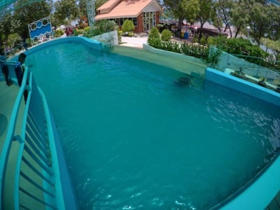 พาราเซลลิ่ง (Parasailing) เกาะเสม็ด