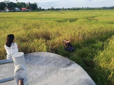 ขัวน้อย