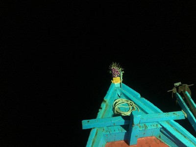 พาราเซลลิ่ง (Parasailing) เกาะเสม็ด