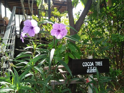 แอ่วน่านนานๆที