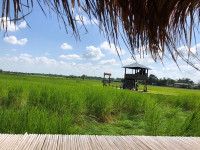 บรรยากาศ