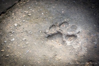 เที่ยววันเดียว - สุโขทัย