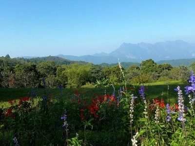 บรรยากาศ