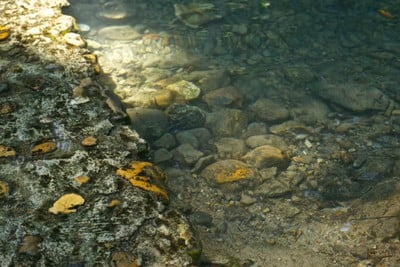 บรรยากาศ โป่งน้ำร้อนไทรงาม