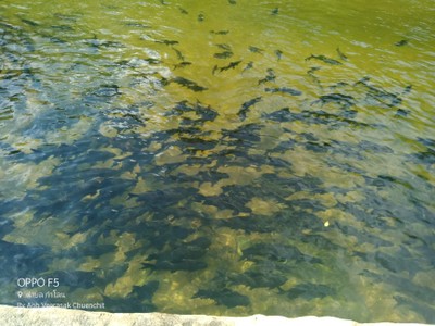 3คืน4วัน @นครศรี&สุราษ