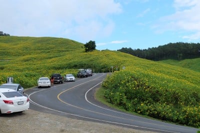 บรรยากาศ ทุ่งบัวตองดอยแม่อูคอ