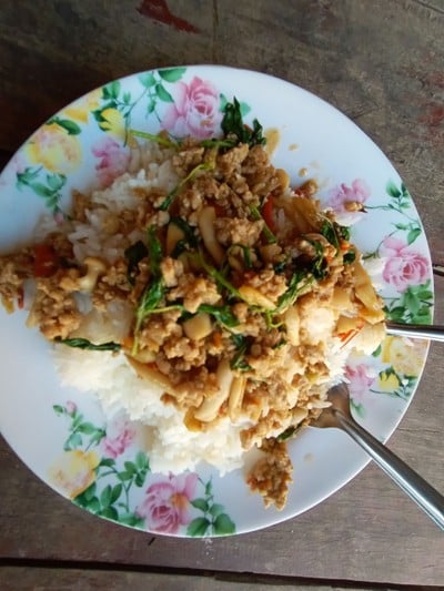 กระเพราไก่ กระเพรากรอบ