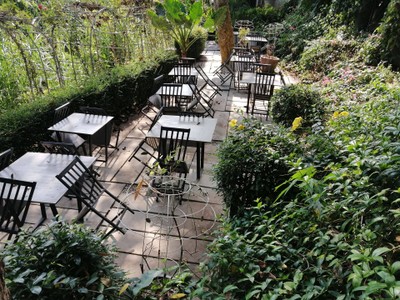 Zen Cafe & Bistro (by Hakk Foundation)