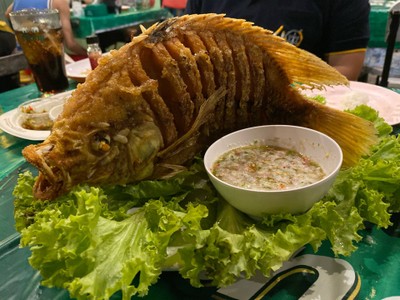 ปลาทอดหักกลาง