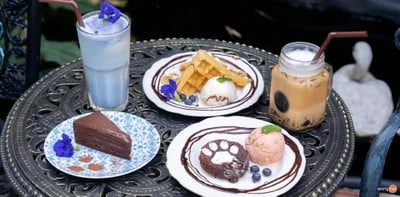 เมนูของร้าน CatNip Cafe'