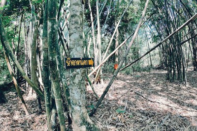 เดินป่าหน้าร้อน แล้วไปนอนแช่น้ำที่ “น้ำตกผาแตก” จ.กาญจนบุรี