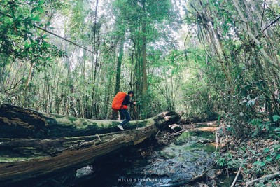 เดินป่าหน้าร้อน แล้วไปนอนแช่น้ำที่ “น้ำตกผาแตก” จ.กาญจนบุรี