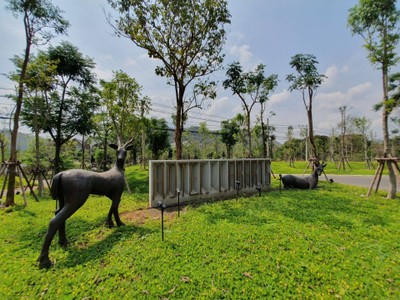 บริเวณโดยรอบ