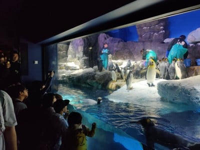 บรรยากาศ Osaka Aquarium Kaiyukan
