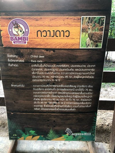 ทริปรอบสวนผึ้ง ราชบุรีใน 2 วัน 