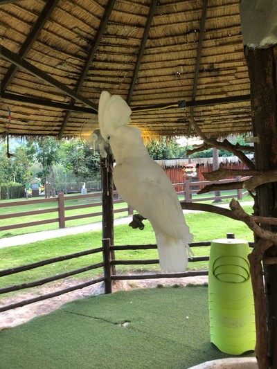 ทริปรอบสวนผึ้ง ราชบุรีใน 2 วัน 