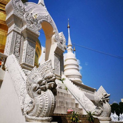 วัดสวนดอก
