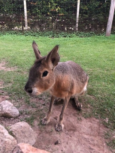 ทริปรอบสวนผึ้ง ราชบุรีใน 2 วัน 