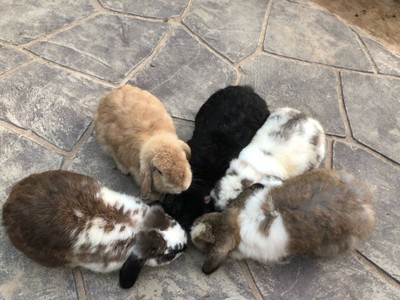 ทริปรอบสวนผึ้ง ราชบุรีใน 2 วัน 