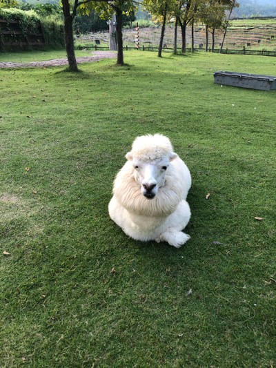 ทริปรอบสวนผึ้ง ราชบุรีใน 2 วัน 