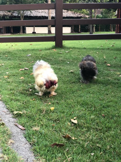 ทริปรอบสวนผึ้ง ราชบุรีใน 2 วัน 