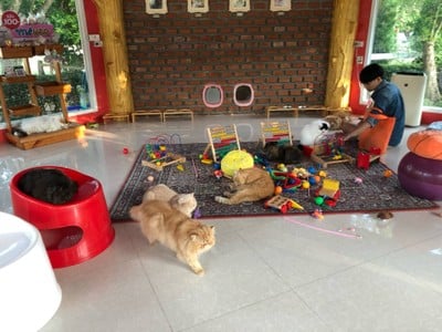 ทริปรอบสวนผึ้ง ราชบุรีใน 2 วัน 