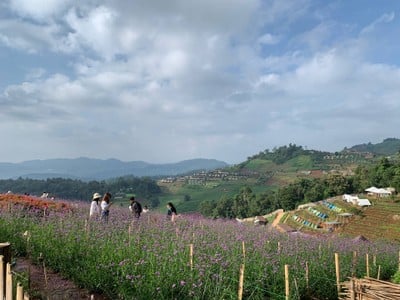 ม่อนแจ่ม