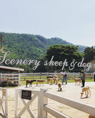 ทริปรอบสวนผึ้ง ราชบุรีใน 2 วัน 