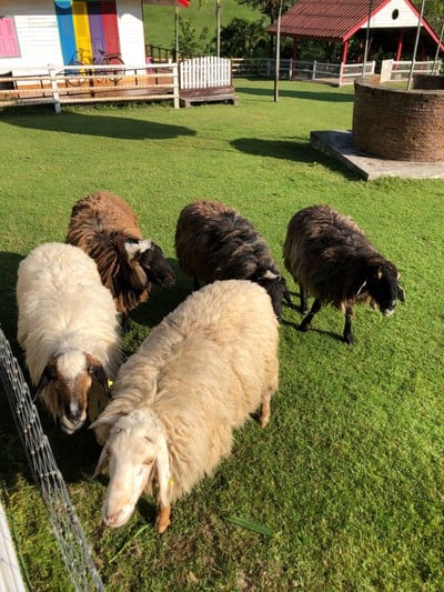 ทริปรอบสวนผึ้ง ราชบุรีใน 2 วัน 