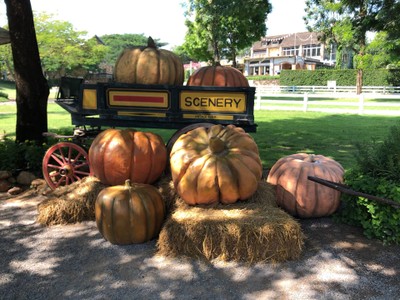 ทริปรอบสวนผึ้ง ราชบุรีใน 2 วัน 