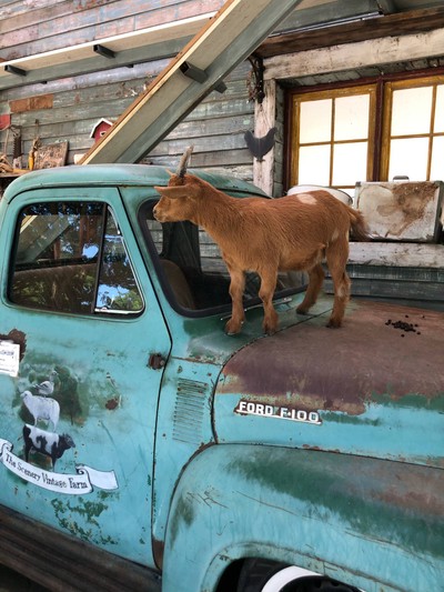 ทริปรอบสวนผึ้ง ราชบุรีใน 2 วัน 